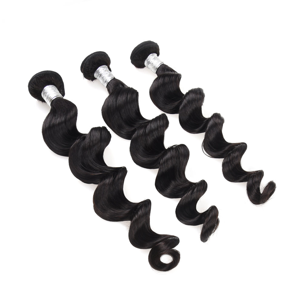Burmese Curly 3 Bundle Deal