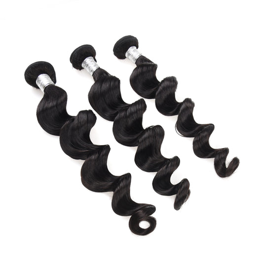Burmese Curly 3 Bundle Deal
