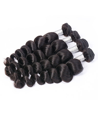 Burmese Curly 4 Bundle Deal